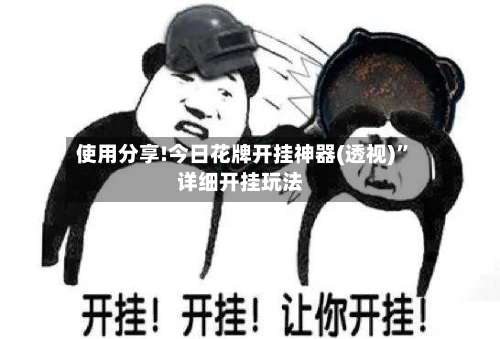 使用分享!今日花牌开挂神器(透视)	”详细开挂玩法-第2张图片