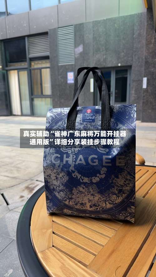 真实辅助“雀神广东麻将万能开挂器通用版”详细分享装挂步骤教程-第2张图片