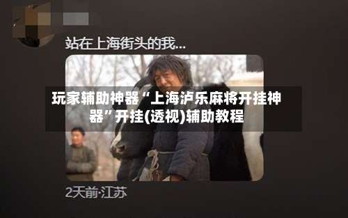 玩家辅助神器“上海泸乐麻将开挂神器”开挂(透视)辅助教程-第2张图片