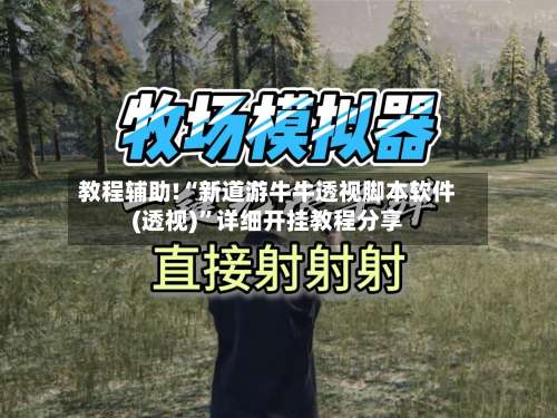 教程辅助!“新道游牛牛透视脚本软件(透视)”详细开挂教程分享-第2张图片