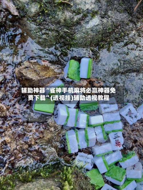 辅助神器“雀神手机麻将必赢神器免费下载	”(透视挂)辅助透视教程-第2张图片