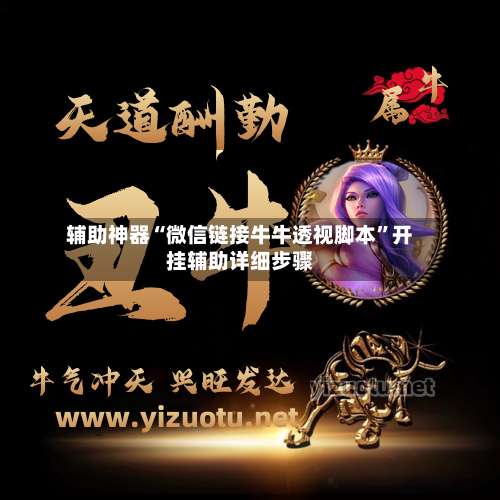 辅助神器“微信链接牛牛透视脚本”开挂辅助详细步骤-第2张图片