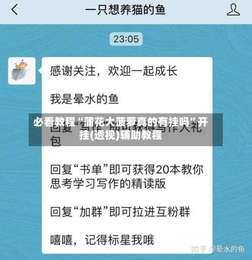 必看教程“蒲花大菠萝真的有挂吗”开挂(透视)辅助教程-第2张图片