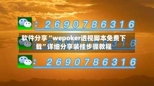 软件分享“wepoker透视脚本免费下载	”详细分享装挂步骤教程-第2张图片