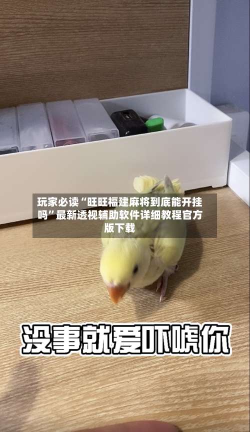 玩家必读“旺旺福建麻将到底能开挂吗”最新透视辅助软件详细教程官方版下载-第1张图片