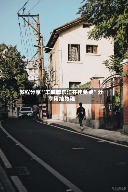 教程分享“羊城牌乐汇开挂免费	”分享用挂教程-第1张图片