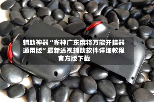 辅助神器“雀神广东麻将万能开挂器通用版”最新透视辅助软件详细教程官方版下载-第2张图片