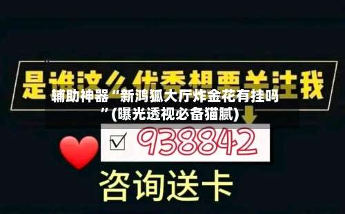 辅助神器“新鸿狐大厅炸金花有挂吗	”(曝光透视必备猫腻)-第3张图片