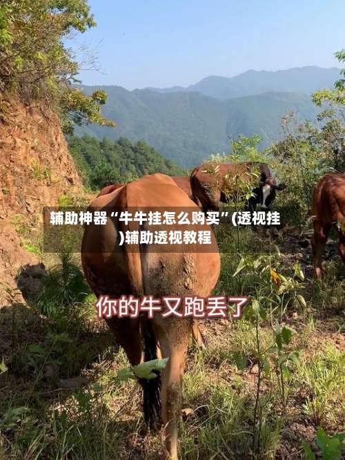 辅助神器“牛牛挂怎么购买”(透视挂)辅助透视教程-第2张图片