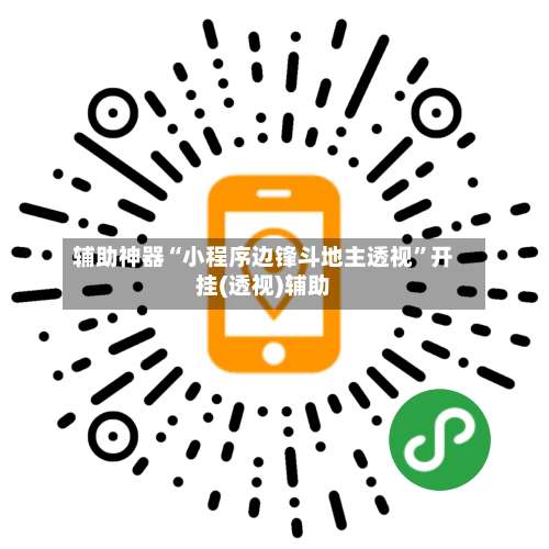 辅助神器“小程序边锋斗地主透视”开挂(透视)辅助-第2张图片