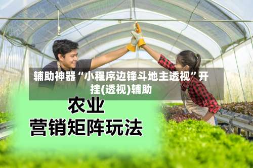 辅助神器“小程序边锋斗地主透视”开挂(透视)辅助-第1张图片