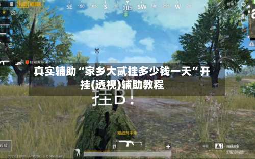 真实辅助“家乡大贰挂多少钱一天”开挂(透视)辅助教程-第2张图片