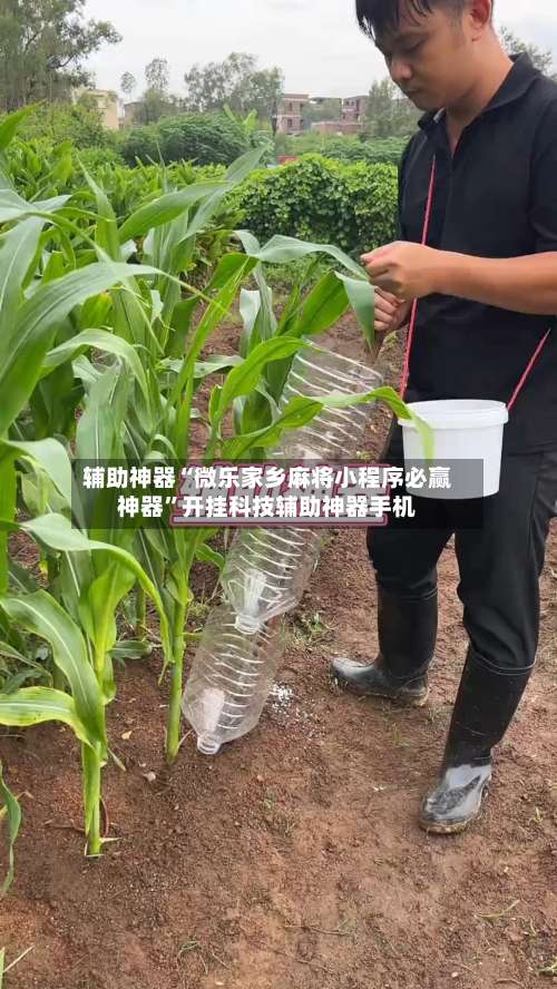 辅助神器“微乐家乡麻将小程序必赢神器”开挂科技辅助神器手机-第1张图片