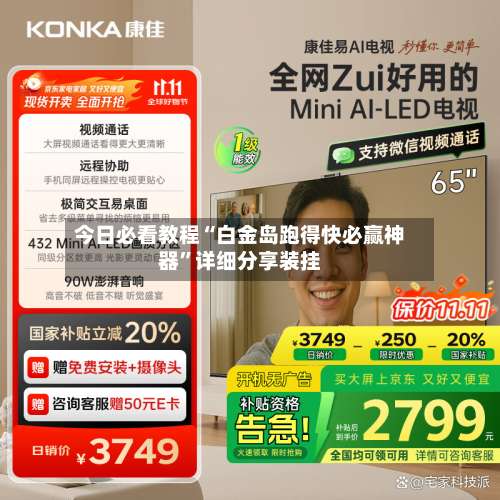 今日必看教程“白金岛跑得快必赢神器”详细分享装挂-第2张图片