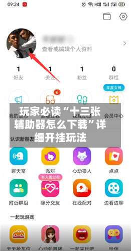 玩家必读“十三张辅助器怎么下载	”详细开挂玩法-第1张图片
