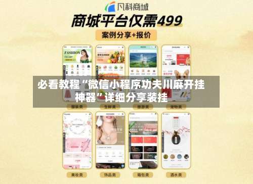 必看教程“微信小程序功夫川麻开挂神器”详细分享装挂-第2张图片