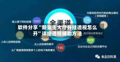 软件分享“新蛮王大厅开挂透视怎么开”详细透视辅助方法-第3张图片