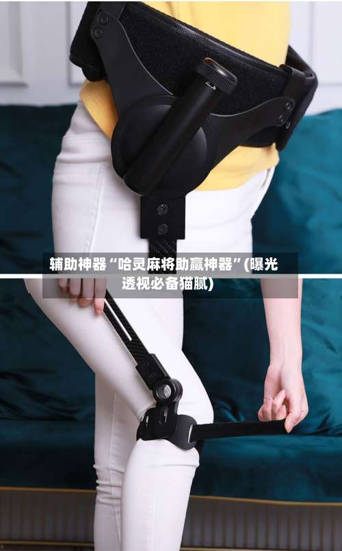 辅助神器“哈灵麻将助赢神器	”(曝光透视必备猫腻)-第2张图片