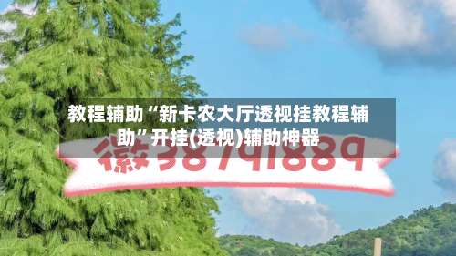 教程辅助“新卡农大厅透视挂教程辅助”开挂(透视)辅助神器-第1张图片