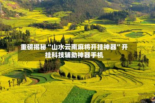 重磅揭秘“山水云南麻将开挂神器”开挂科技辅助神器手机-第2张图片