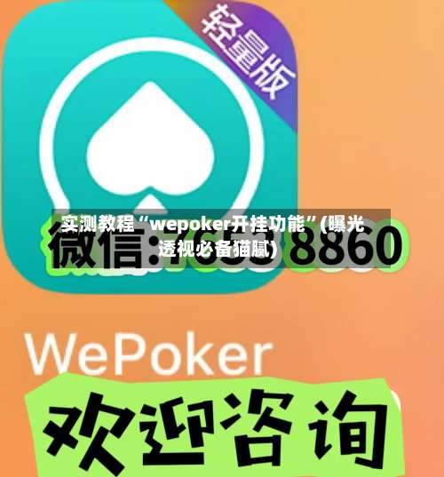 实测教程“wepoker开挂功能”(曝光透视必备猫腻)-第1张图片