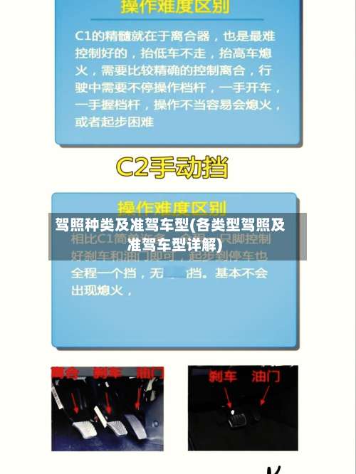 驾照种类及准驾车型(各类型驾照及准驾车型详解)-第1张图片