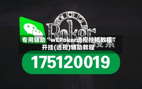 专用辅助“wEPoker透视挂机教程	”开挂(透视)辅助教程-第3张图片
