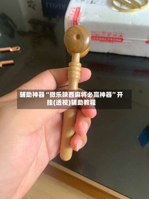 辅助神器“微乐陕西麻将必赢神器”开挂(透视)辅助教程-第1张图片