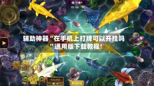 辅助神器“在手机上打牌可以开挂吗”通用版下载教程!-第3张图片