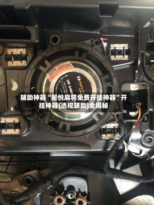 辅助神器“星悦麻将免费开挂神器”开挂神器{透视辅助}全揭秘-第1张图片