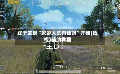 终于发现“家乡大贰有挂吗	”开挂(透视)辅助教程-第2张图片