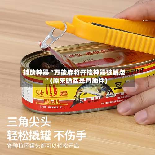 辅助神器“万能麻将开挂神器破解版”(原来确实是有插件)-第1张图片