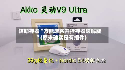 辅助神器“万能麻将开挂神器破解版”(原来确实是有插件)-第3张图片