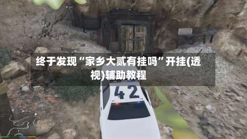 终于发现“家乡大贰有挂吗”开挂(透视)辅助教程-第3张图片