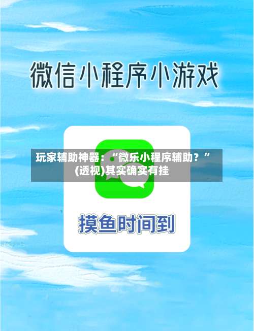 玩家辅助神器：“微乐小程序辅助？”(透视)其实确实有挂-第1张图片