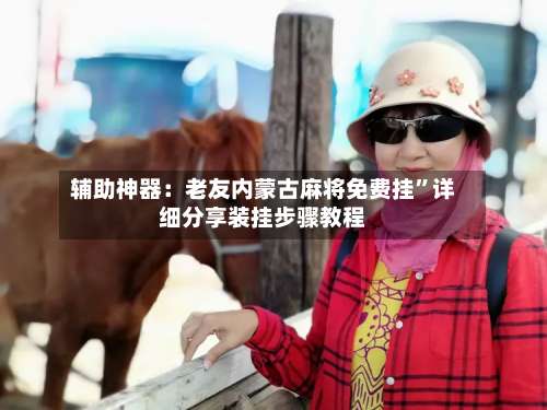 辅助神器：老友内蒙古麻将免费挂”详细分享装挂步骤教程-第2张图片