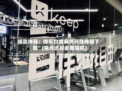 辅助神器：微乐甘肃麻将开挂神器下载”(曝光透视必备猫腻)-第1张图片