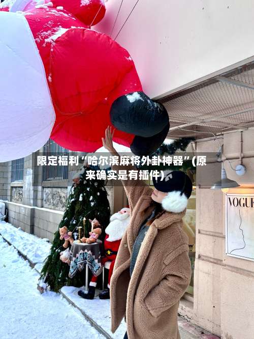 限定福利“哈尔滨麻将外卦神器	”(原来确实是有插件)-第1张图片