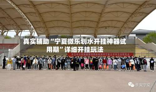 真实辅助“宁夏微乐划水开挂神器试用期”详细开挂玩法-第1张图片