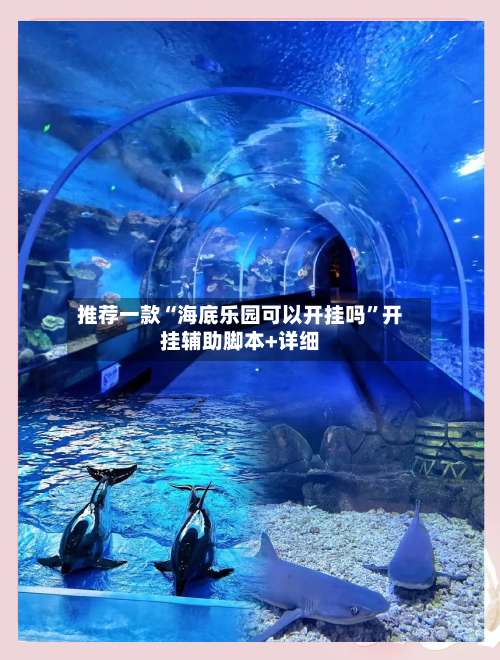 推荐一款“海底乐园可以开挂吗”开挂辅助脚本+详细-第2张图片