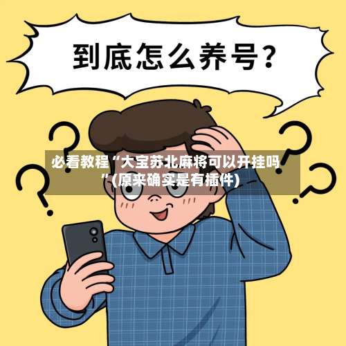 必看教程“大宝苏北麻将可以开挂吗”(原来确实是有插件)-第3张图片