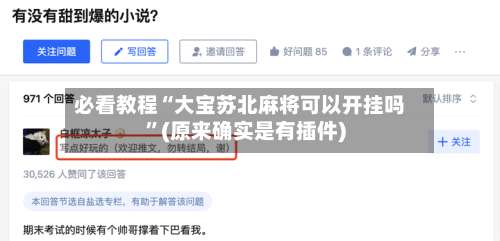 必看教程“大宝苏北麻将可以开挂吗	”(原来确实是有插件)-第2张图片