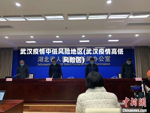 武汉疫情中低风险地区(武汉疫情高低风险区)-第2张图片