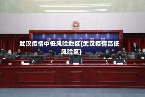 武汉疫情中低风险地区(武汉疫情高低风险区)-第1张图片