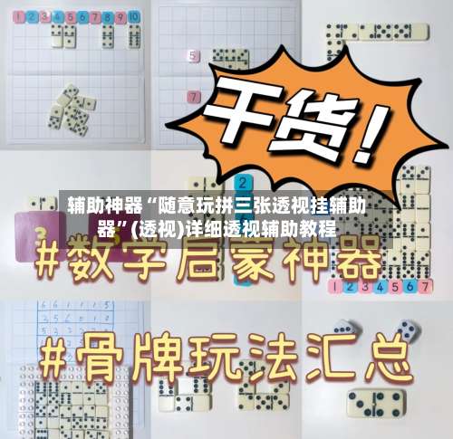 辅助神器“随意玩拼三张透视挂辅助器”(透视)详细透视辅助教程-第1张图片