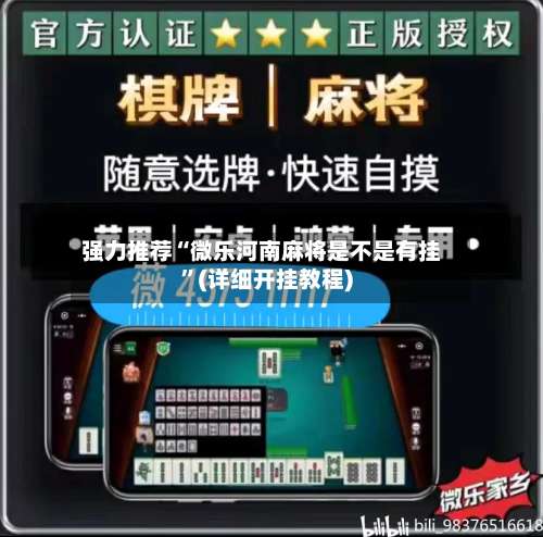 强力推荐“微乐河南麻将是不是有挂”(详细开挂教程)-第3张图片