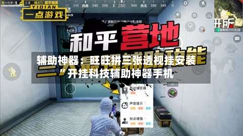 辅助神器：旺旺拼三张透视挂安装”开挂科技辅助神器手机-第1张图片