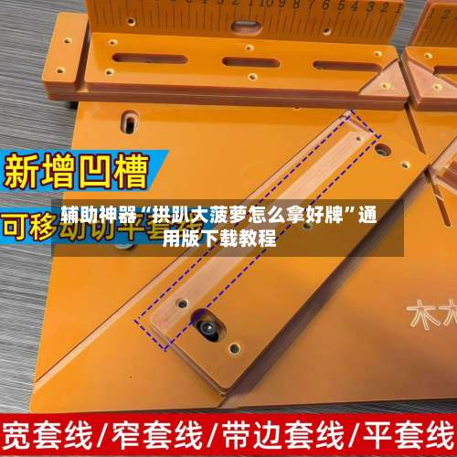 辅助神器“拱趴大菠萝怎么拿好牌”通用版下载教程-第3张图片