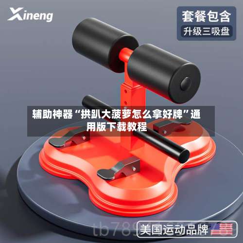 辅助神器“拱趴大菠萝怎么拿好牌”通用版下载教程-第2张图片