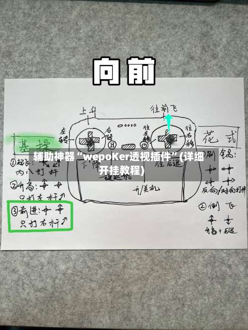 辅助神器“wepoKer透视插件”(详细开挂教程)-第1张图片